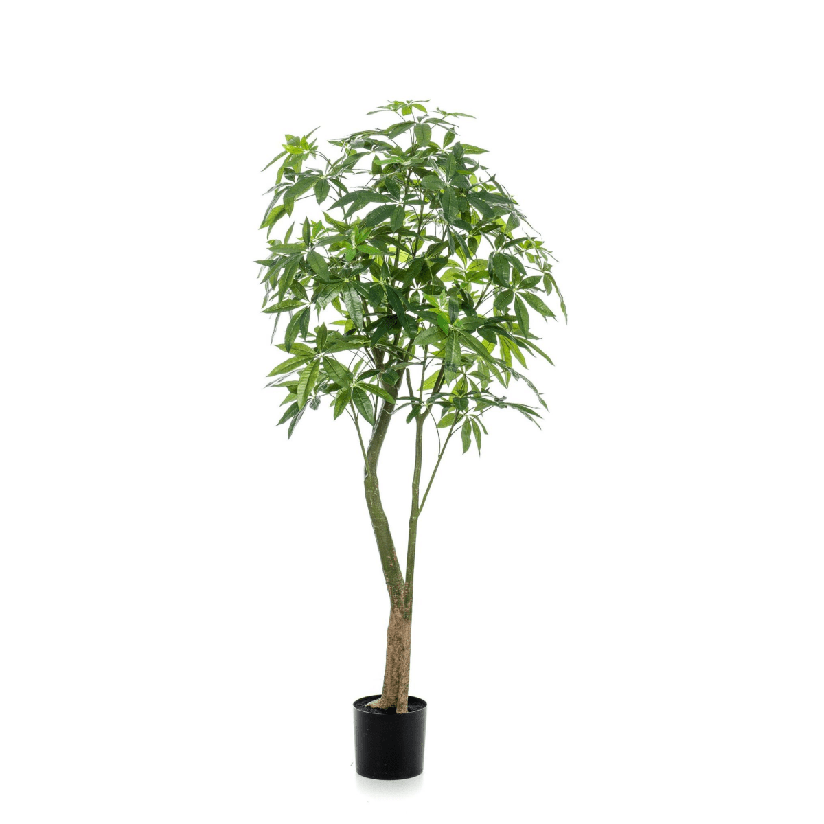 Pachira Aquatica - Geldboom | Kunstplant 5 - LushLeaf | Online planten bestellen