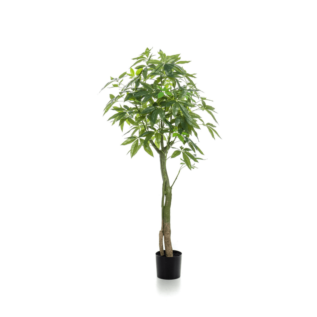 Pachira Aquatica - Geldboom | Kunstplant 1 - LushLeaf | Online planten bestellen