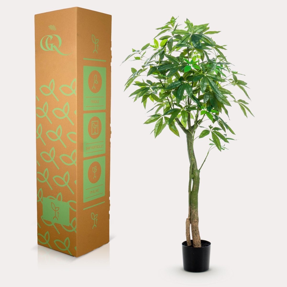 Pachira Aquatica - Geldboom | Kunstplant 4 - LushLeaf | Online planten bestellen