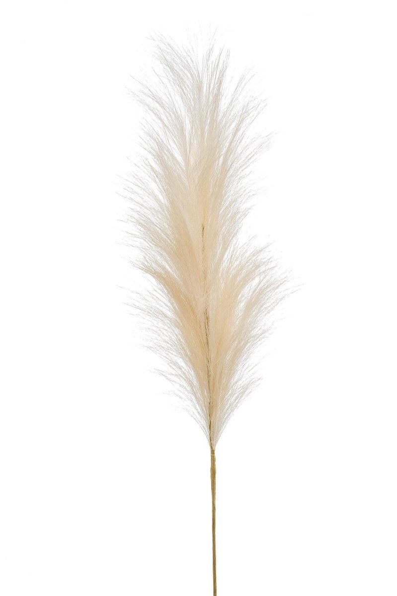 Pampas Plumes Crème x6 | Kunstbloemen 5 - LushLeaf | Online planten bestellen
