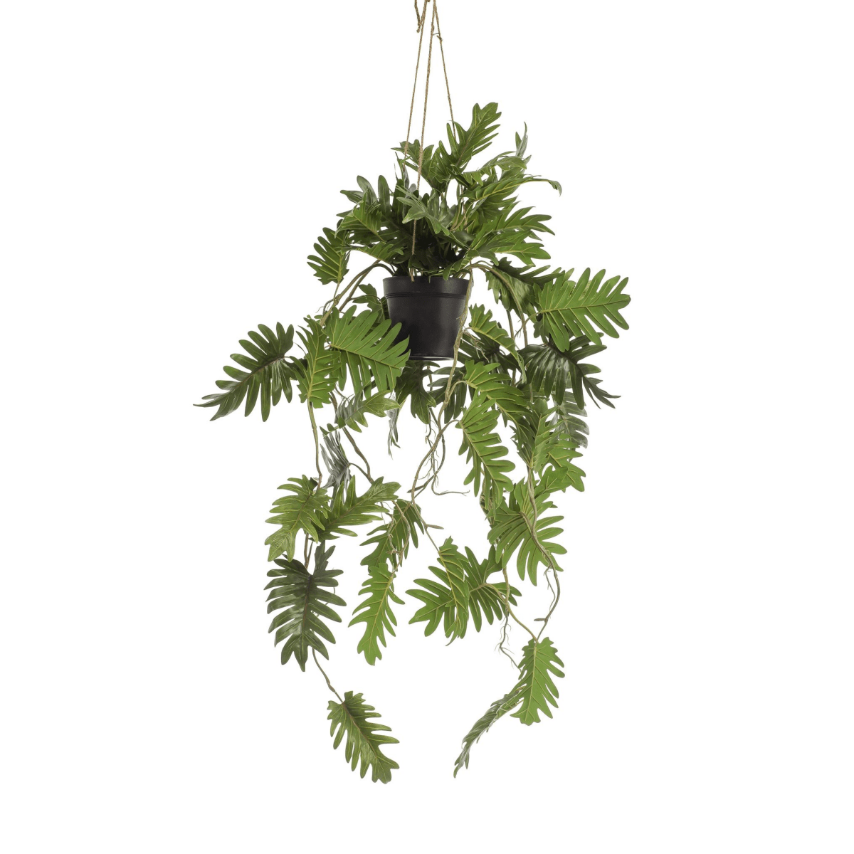 Philodendron - Klimmende boomliefhebber | Kunstplant 1 - LushLeaf | Online planten bestellen