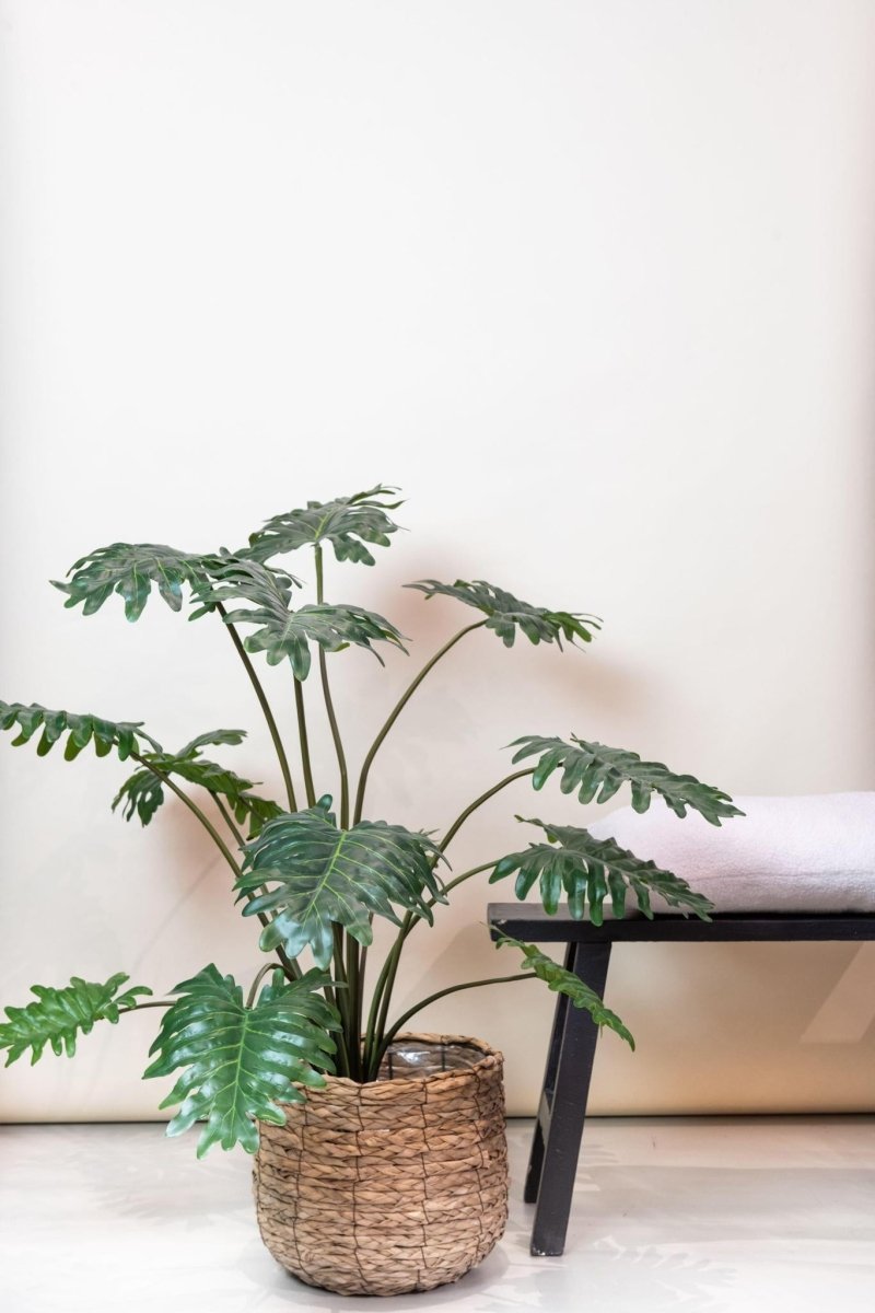 Philodendron | Kunstplant 3 - LushLeaf | Online planten bestellen