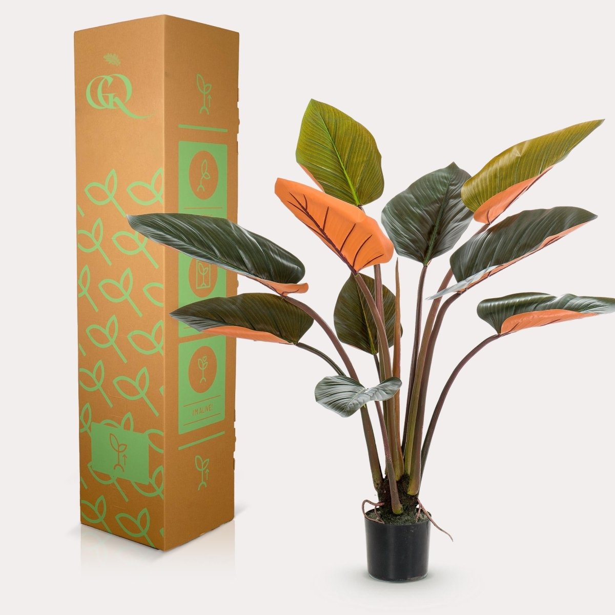 Philodendron | Kunstplant 3 - LushLeaf | Online planten bestellen