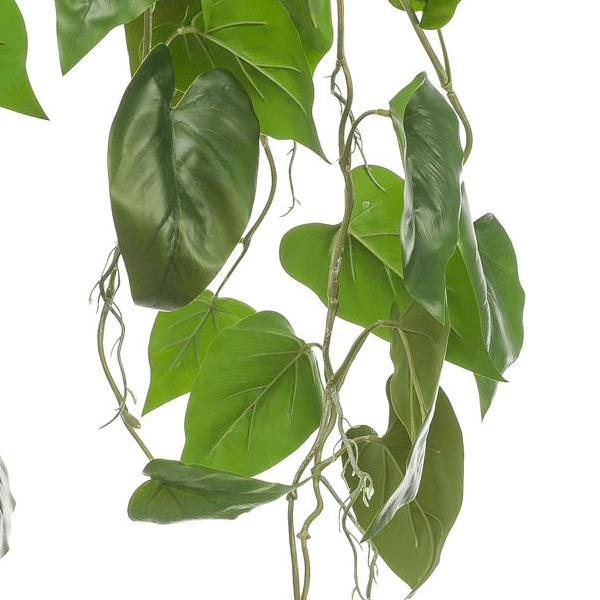 Philodendron scandens | Kunstplant 2 - LushLeaf | Online planten bestellen