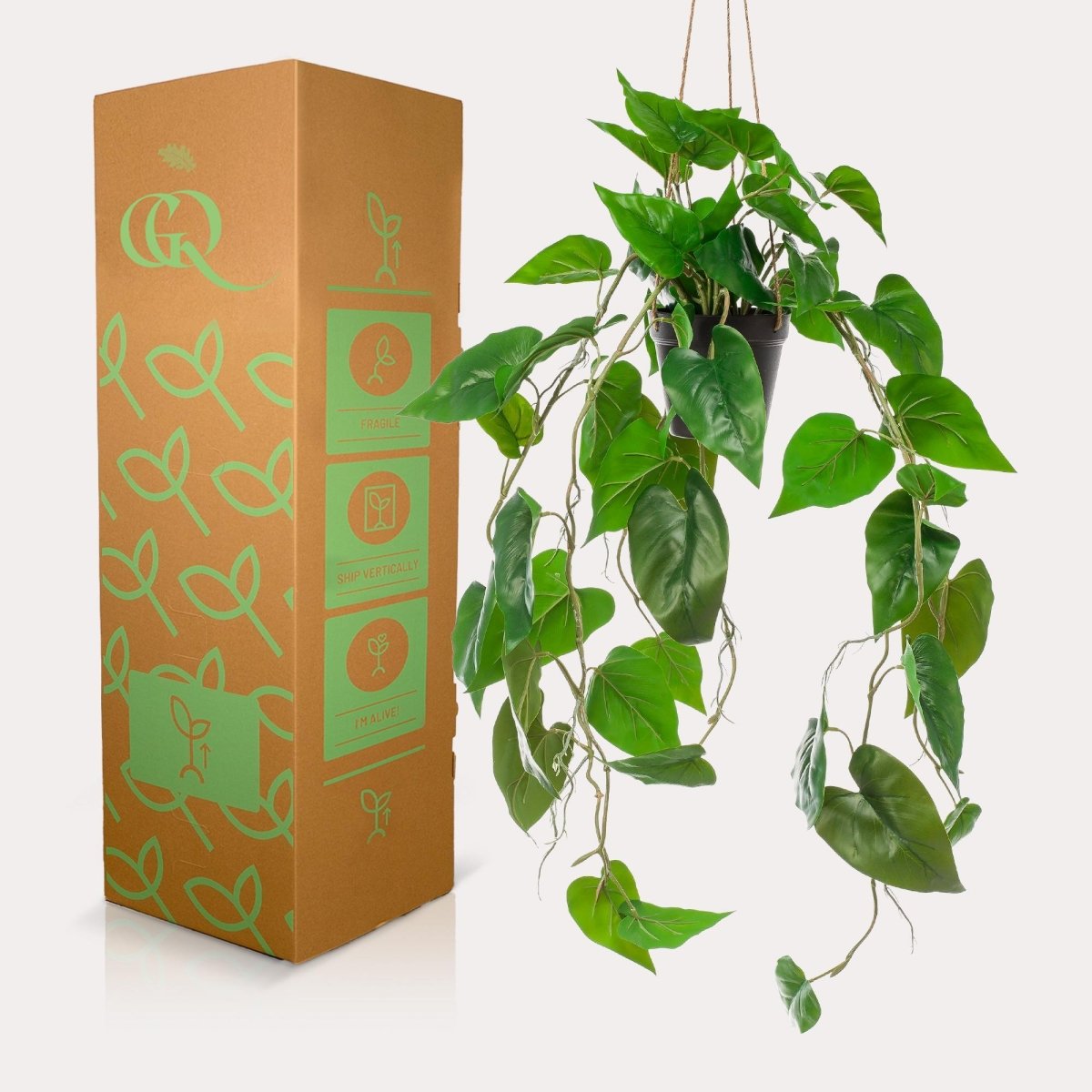Philodendron scandens | Kunstplant 3 - LushLeaf | Online planten bestellen