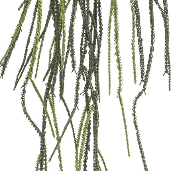 Rhypsalis - Koraalcactus | Kunstplant 2 - LushLeaf | Online planten bestellen