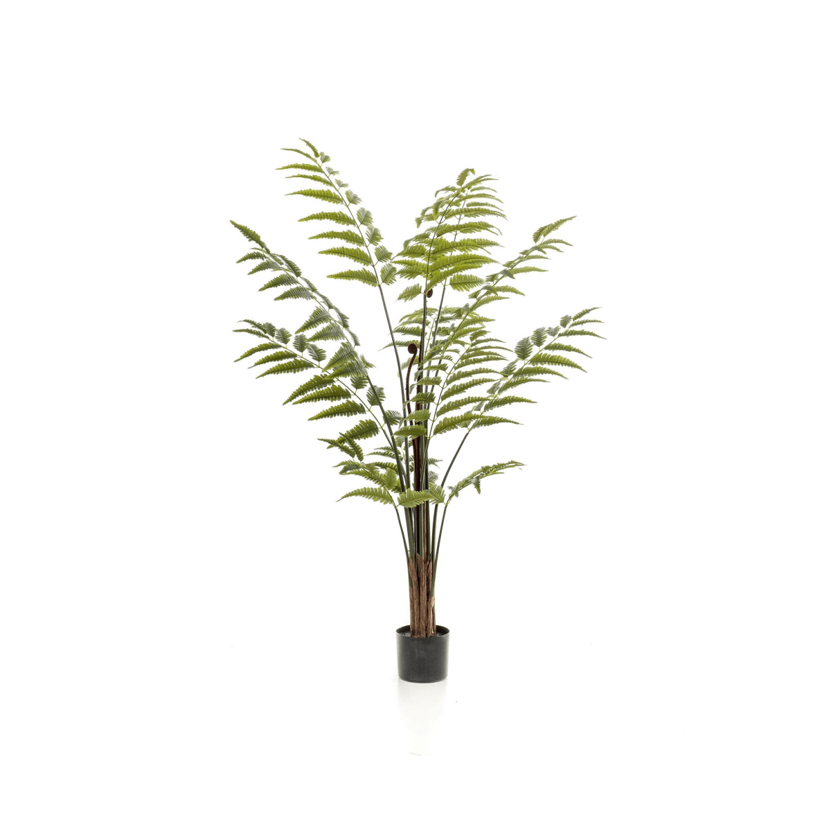 Rumohra Adiantiformis - Ledervaren | Kunstplant 1 - LushLeaf | Online planten bestellen