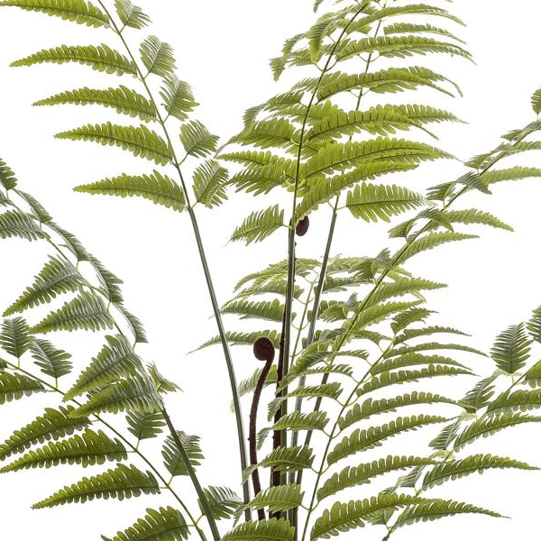 Rumohra Adiantiformis - Ledervaren | Kunstplant 2 - LushLeaf | Online planten bestellen