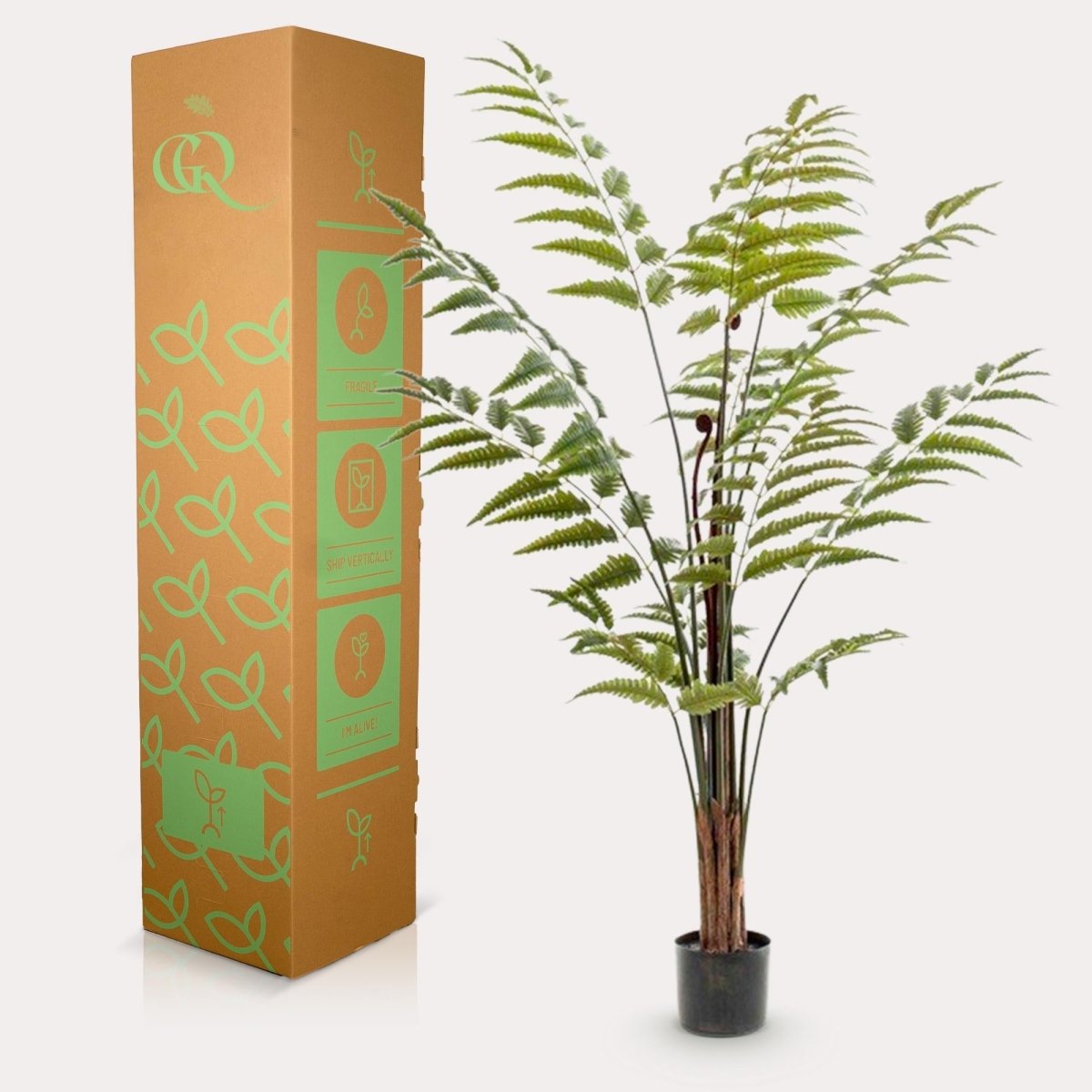 Rumohra Adiantiformis - Ledervaren | Kunstplant 4 - LushLeaf | Online planten bestellen