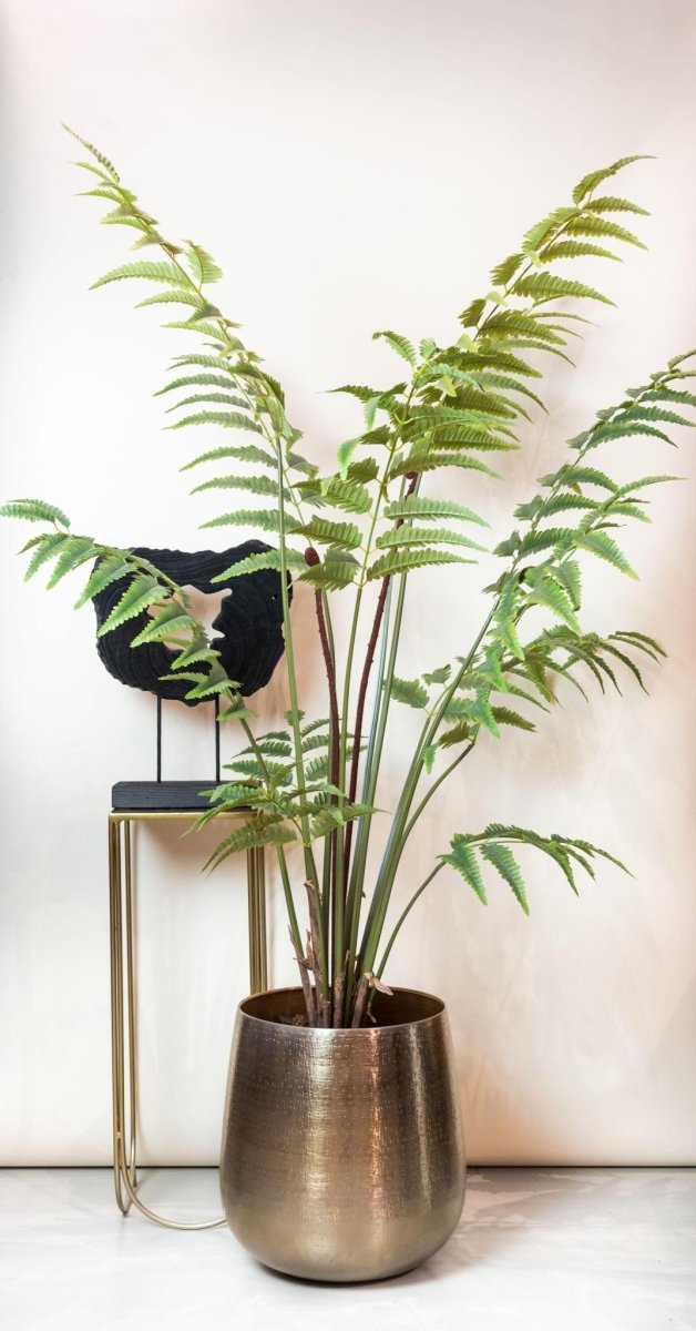 Rumohra Adiantiformis - Ledervaren | Kunstplant 3 - LushLeaf | Online planten bestellen