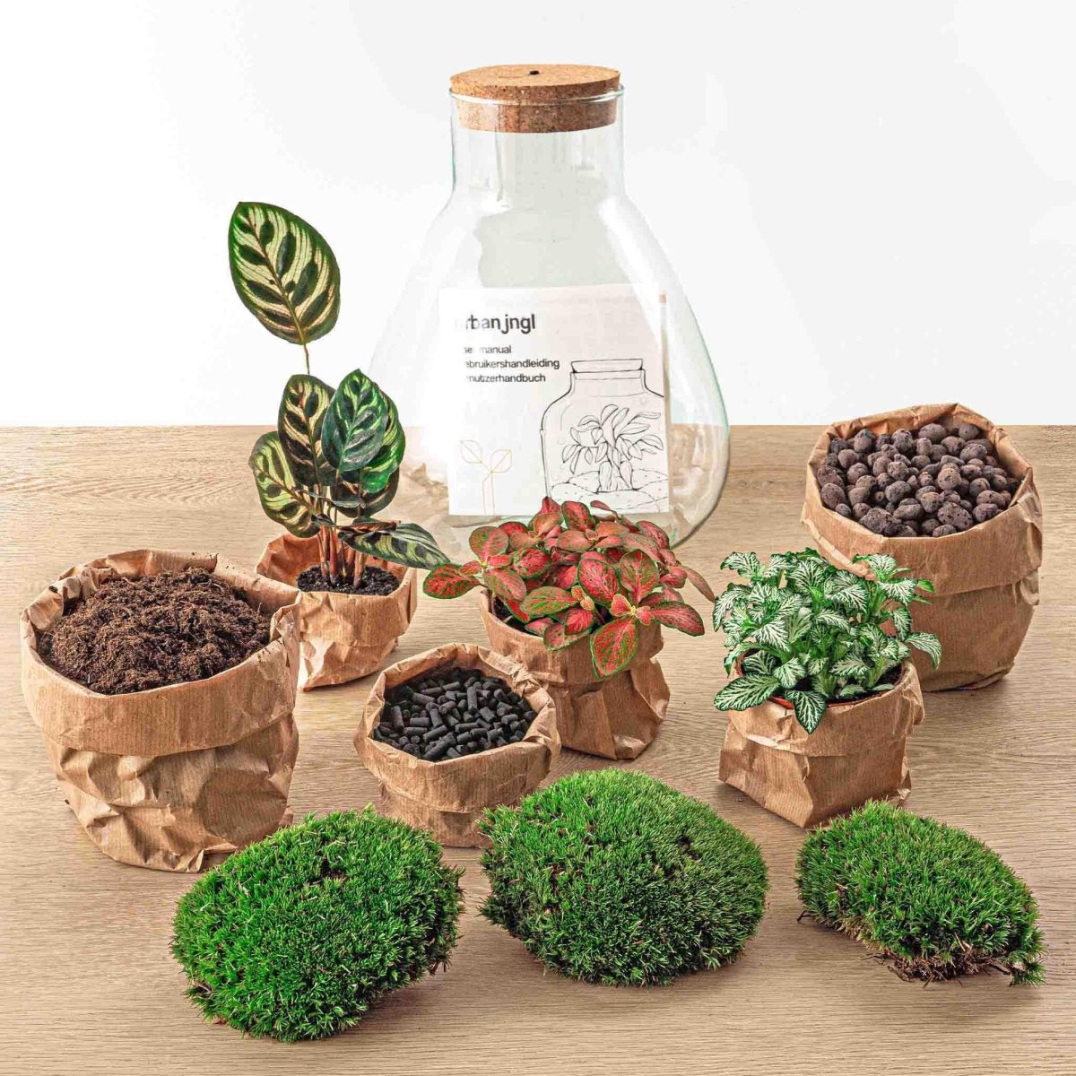 Sam Calathea met LED lamp | DIY terrarium 2 - LushLeaf | Online planten bestellen
