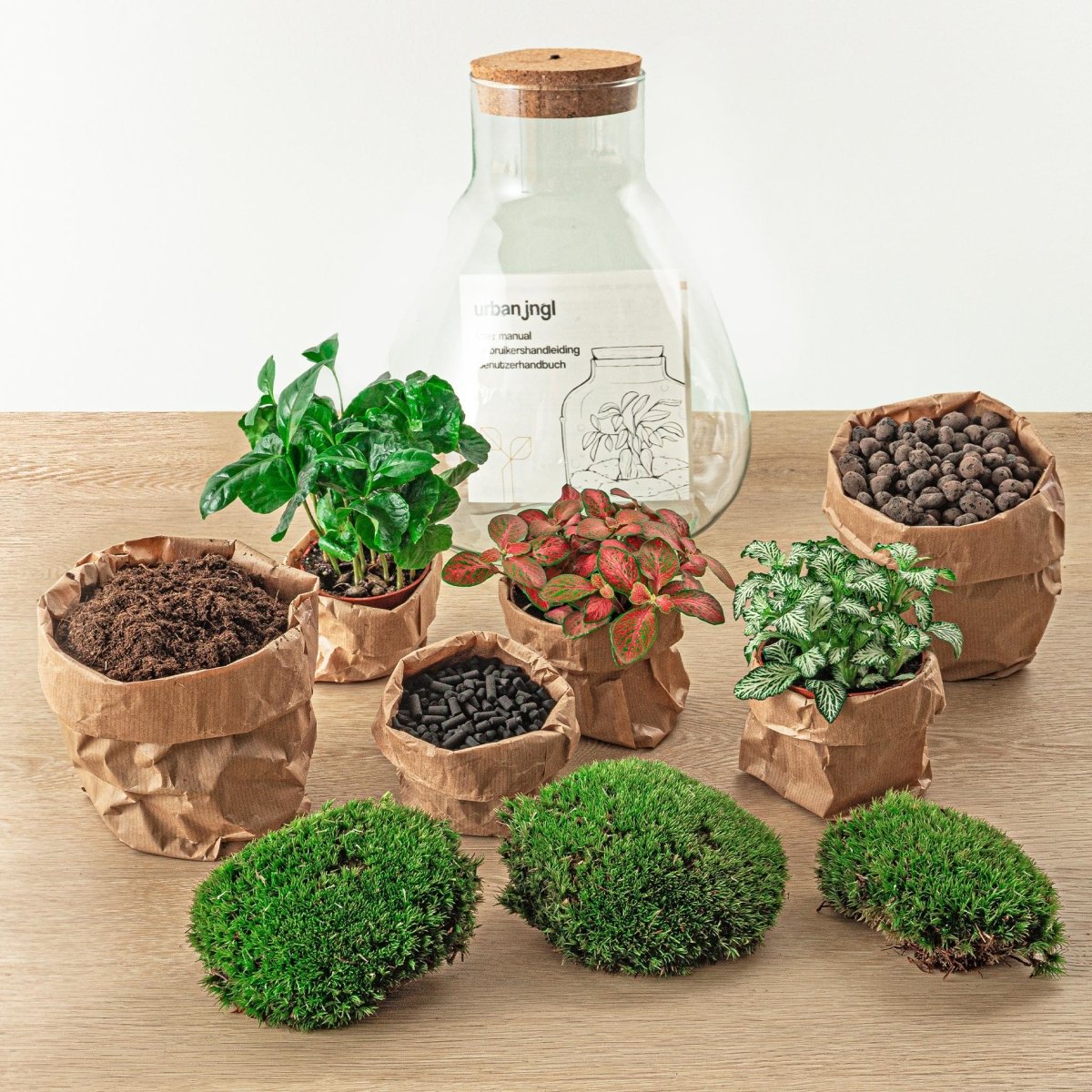 Sam Coffea met LED lamp | DIY terrarium 2 - LushLeaf | Online planten bestellen
