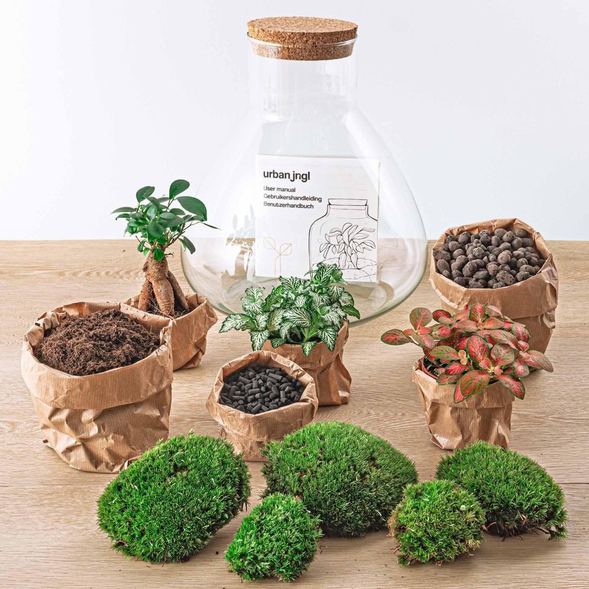Sam L Bonsai | DIY terrarium 2 - LushLeaf | Online planten bestellen