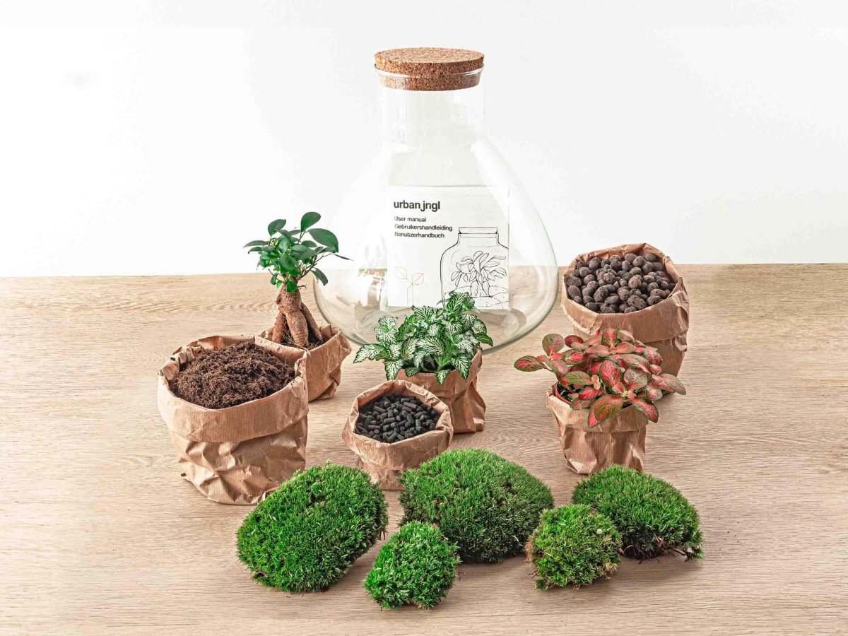 Sam L Bonsai | DIY Terrarium 2 - LushLeaf | Online planten bestellen