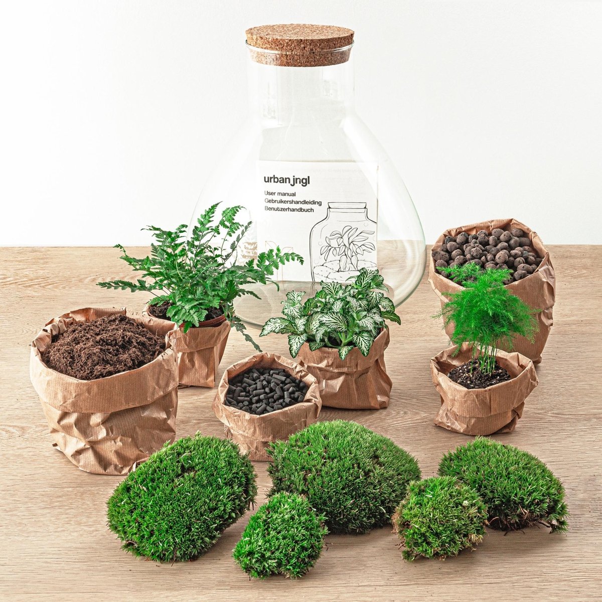 Sam L | DIY terrarium 2 - LushLeaf | Online planten bestellen