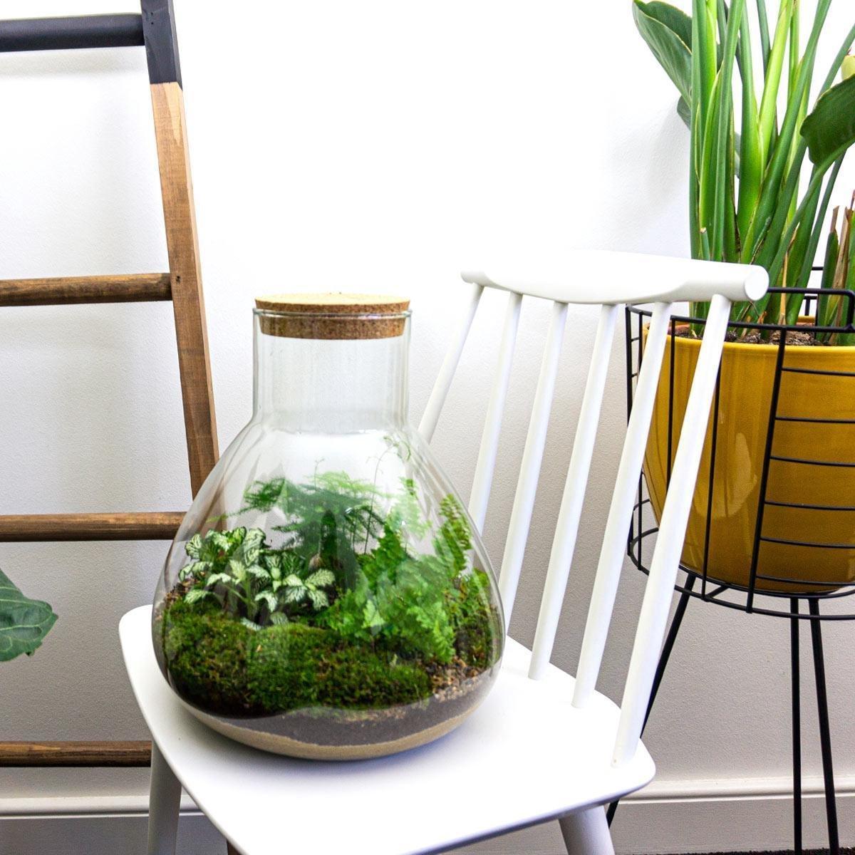 Sam L | DIY terrarium 4 - LushLeaf | Online planten bestellen