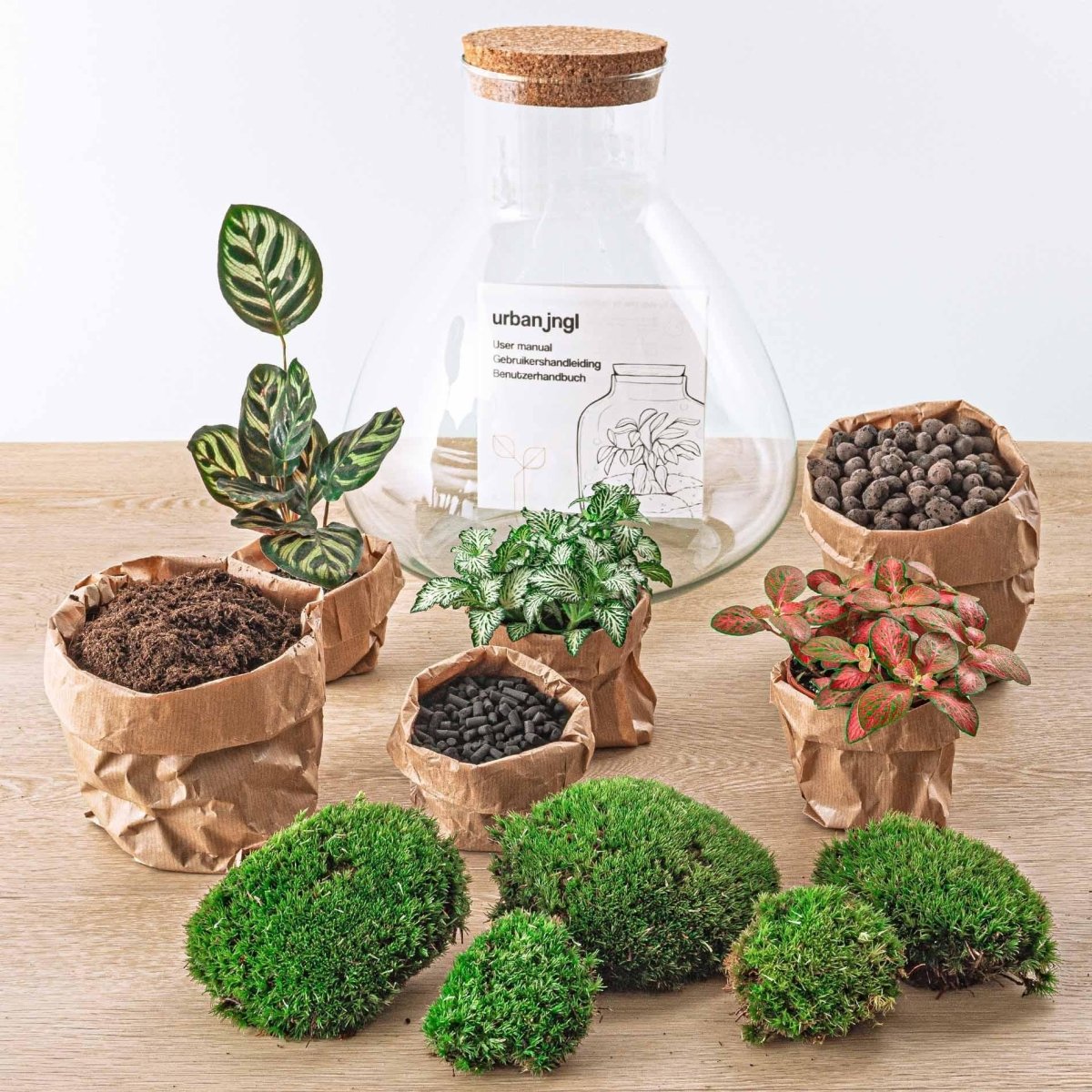 Sam L Rood | DIY terrarium 2 - LushLeaf | Online planten bestellen