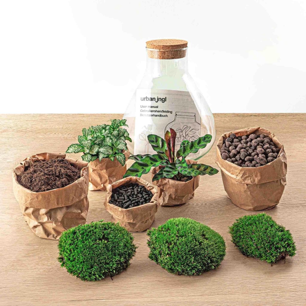 Sammie | DIY terrarium 2 - LushLeaf | Online planten bestellen