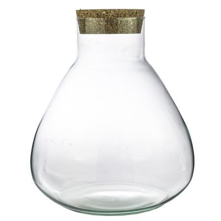 Sammie | Terrarium los 1 - LushLeaf | Online planten bestellen