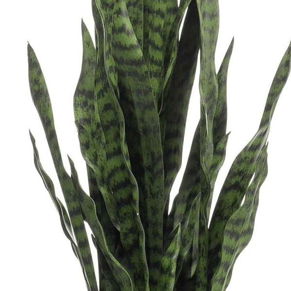 Sanseveria black coral - Vrouwentong | Kunstplant 2 - LushLeaf | Online planten bestellen