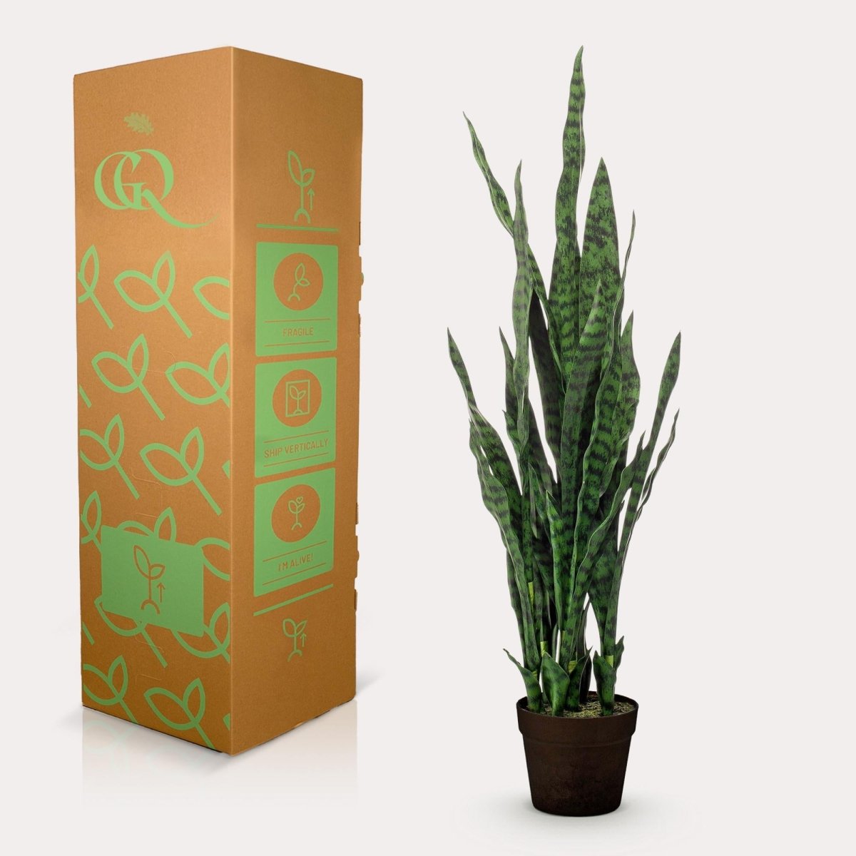 Sanseveria black coral - Vrouwentong | Kunstplant 4 - LushLeaf | Online planten bestellen