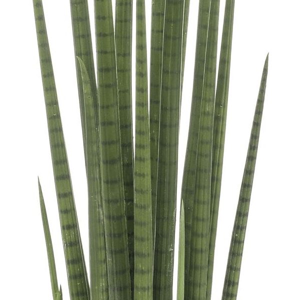 Sanseveria Cylindrica - Vrouwentong | Kunstplant 2 - LushLeaf | Online planten bestellen