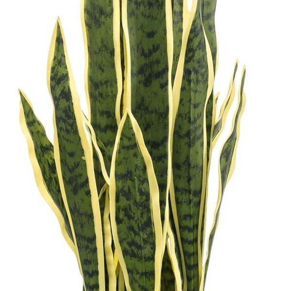 Sanseveria Trifasciata - Vrouwentong | Kunstplant 2 - LushLeaf | Online planten bestellen