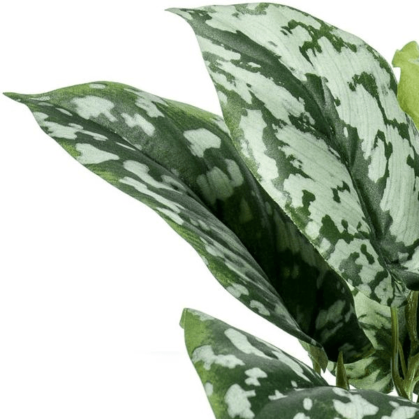 Scindapsus Pictus - Geluksplant | Kunstplant 2 - LushLeaf | Online planten bestellen