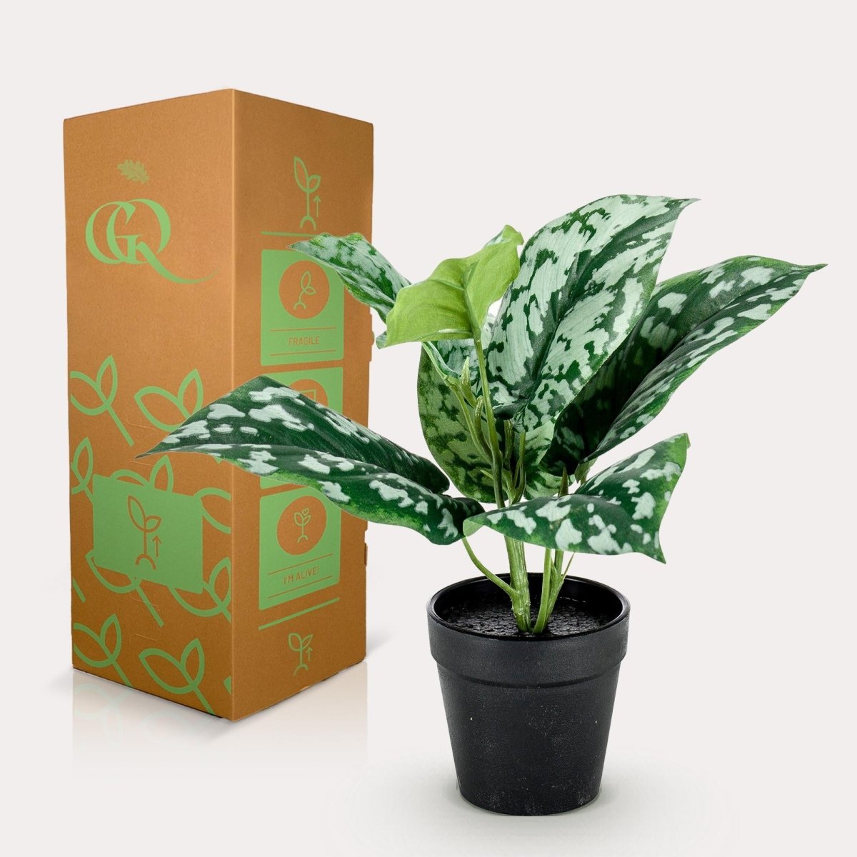 Scindapsus Pictus - Geluksplant | Kunstplant 4 - LushLeaf | Online planten bestellen