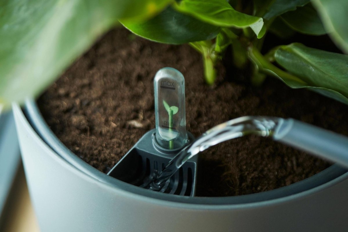 Self Watering Insert 3 - LushLeaf | Online planten bestellen