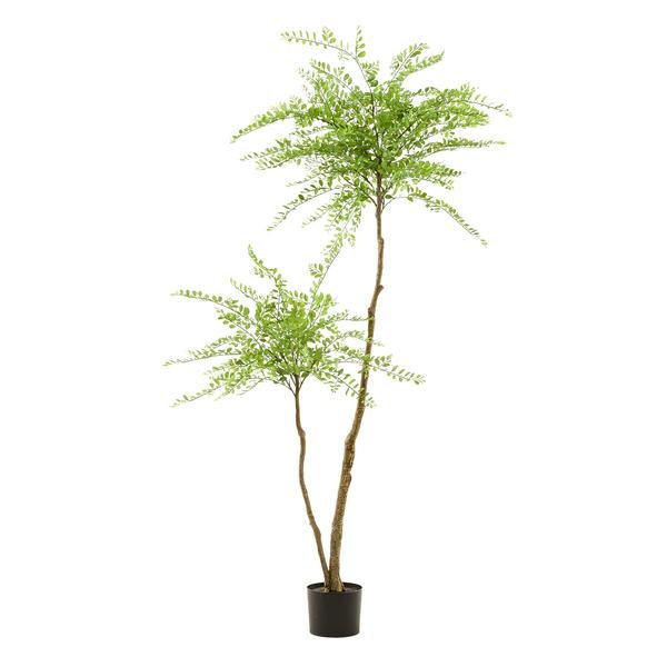 Sophora tree - Honingboom | kunstplant 4 - LushLeaf | Online planten bestellen