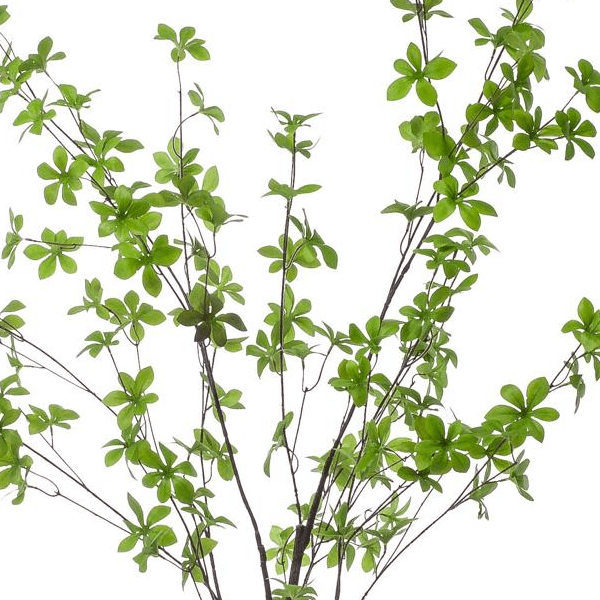 Tropaeolum Speciosum - Oost Indische Kers | Kunstplant 2 - LushLeaf | Online planten bestellen