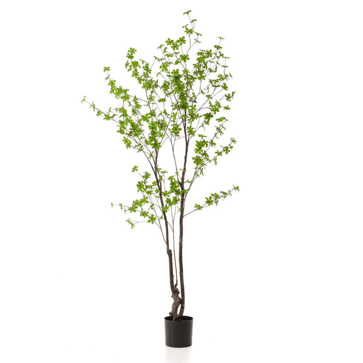 Tropaeolum Speciosum - Oost Indische Kers | Kunstplant 5 - LushLeaf | Online planten bestellen