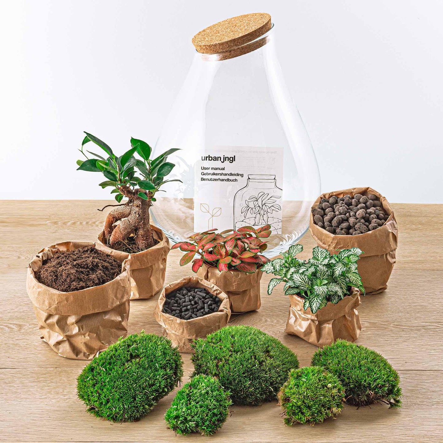 Drop Bonsai | DIY terrarium
