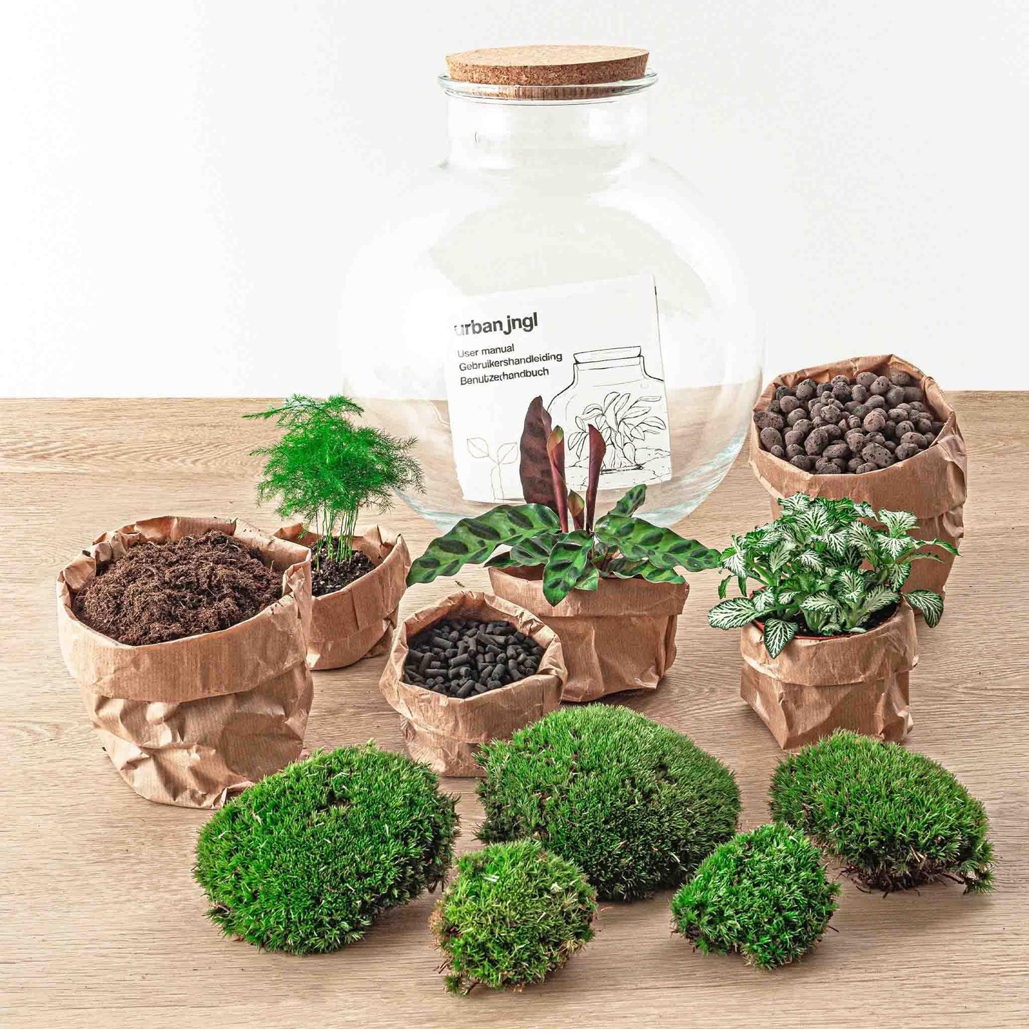 Bolder Bob | DIY terrarium