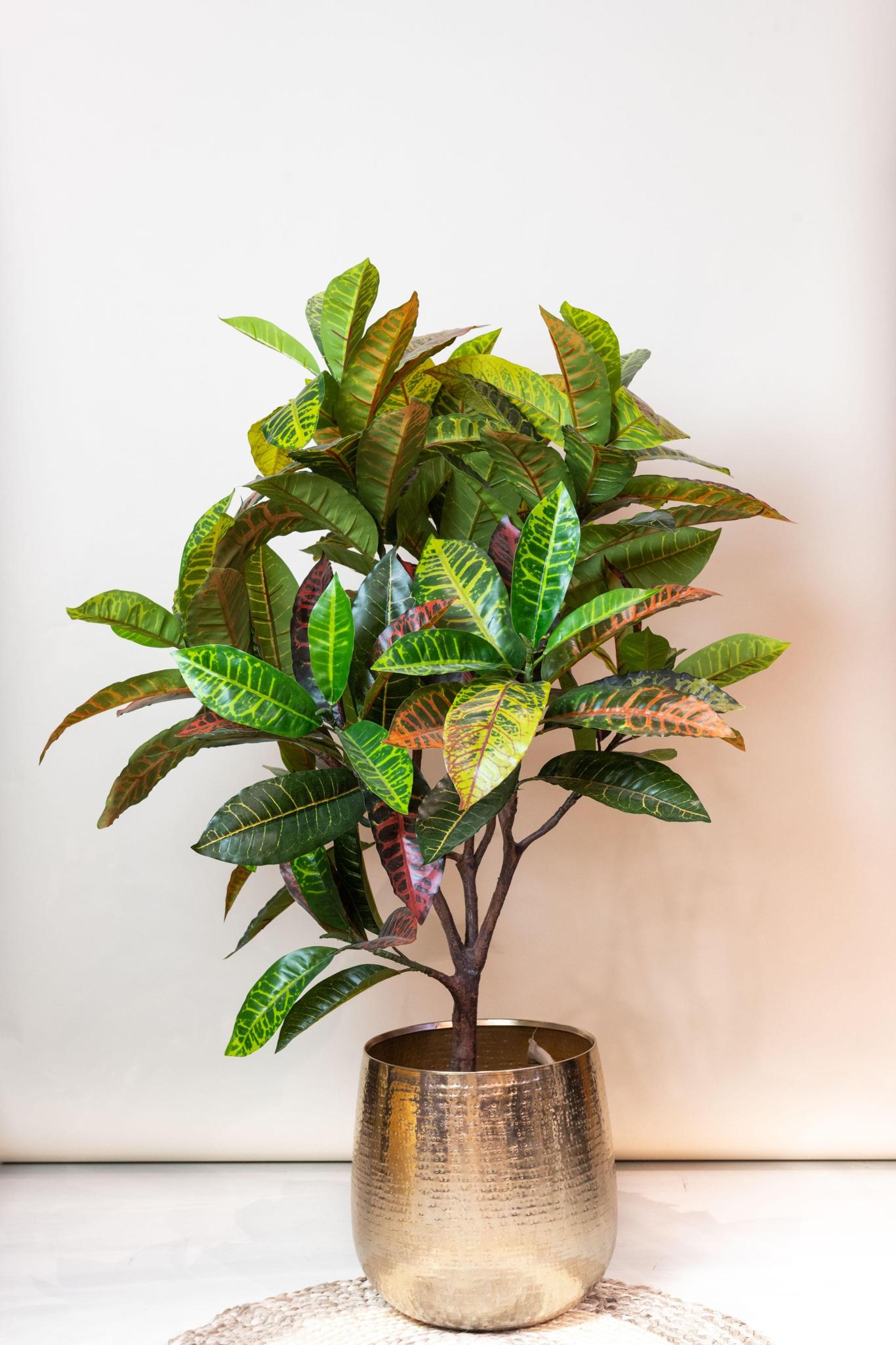 Croton Codiaeum - Wonderstruik | Kunstplant