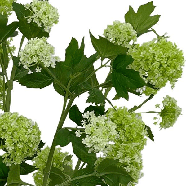 Viburnum Opulus Crème x4 | Kunstbloemen 2 - LushLeaf | Online planten bestellen