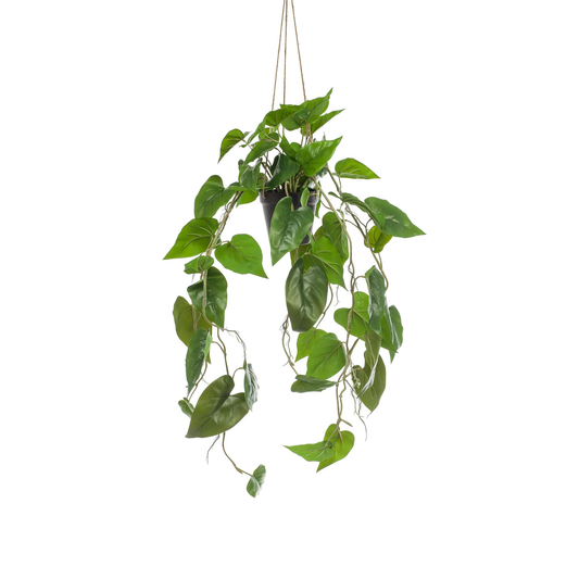 Philodendron scandens | Kunstplant