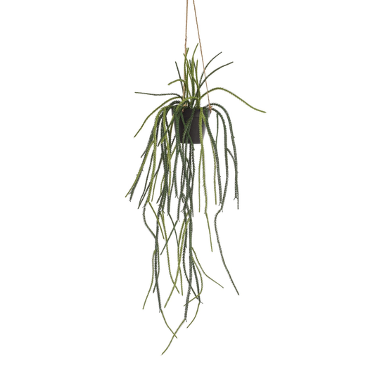 Rhypsalis - Koraalcactus | Kunstplant