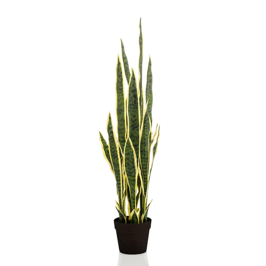 Sanseveria Trifasciata - Vrouwentong | Kunstplant