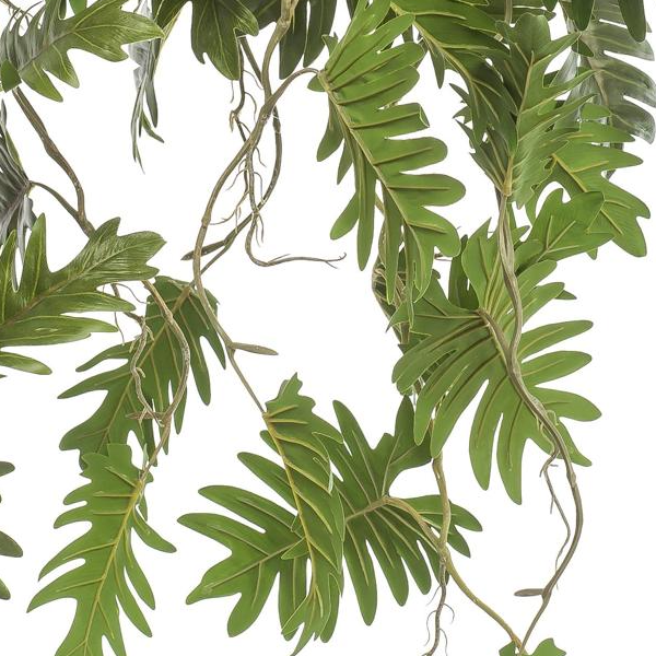 Philodendron - Klimmende boomliefhebber | Kunstplant