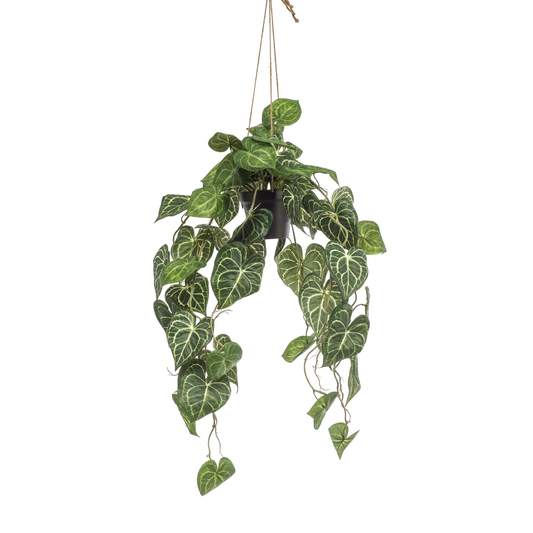 Anthurium Clarinervium - Aderplant | Kunstplant