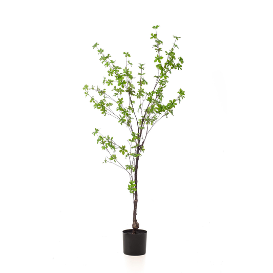 Tropaeolum Speciosum - Oost Indische Kers | Kunstplant