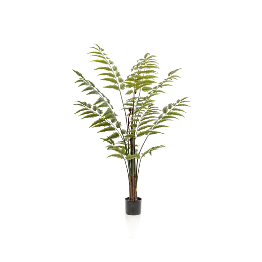 Rumohra Adiantiformis - Ledervaren | Kunstplant