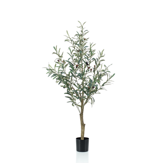 Olea europaea - Olijfboom | Kunstplant