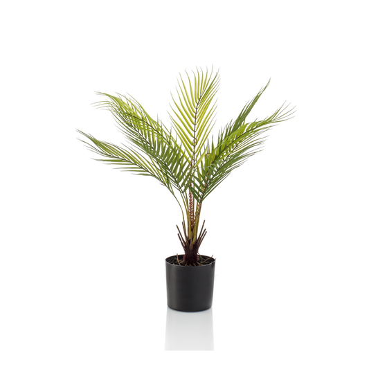 Chamaedorea - Bergpalm  | Kunstplant
