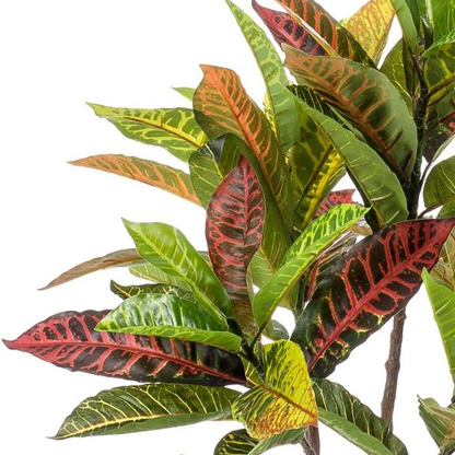 Croton Codiaeum - Wonderstruik | Kunstplant
