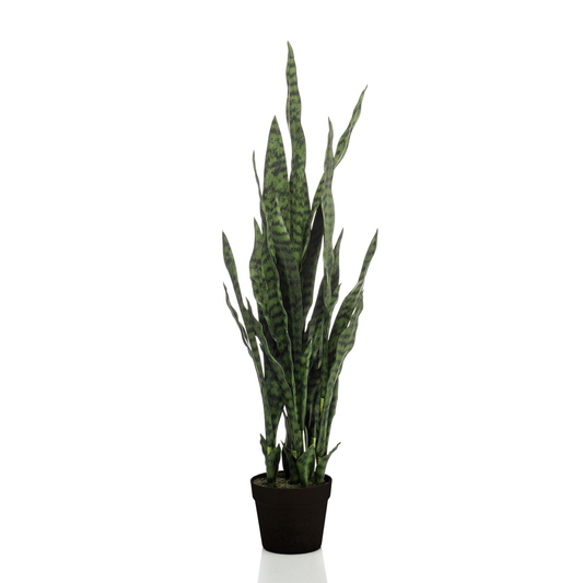 Sanseveria black coral - Vrouwentong | Kunstplant