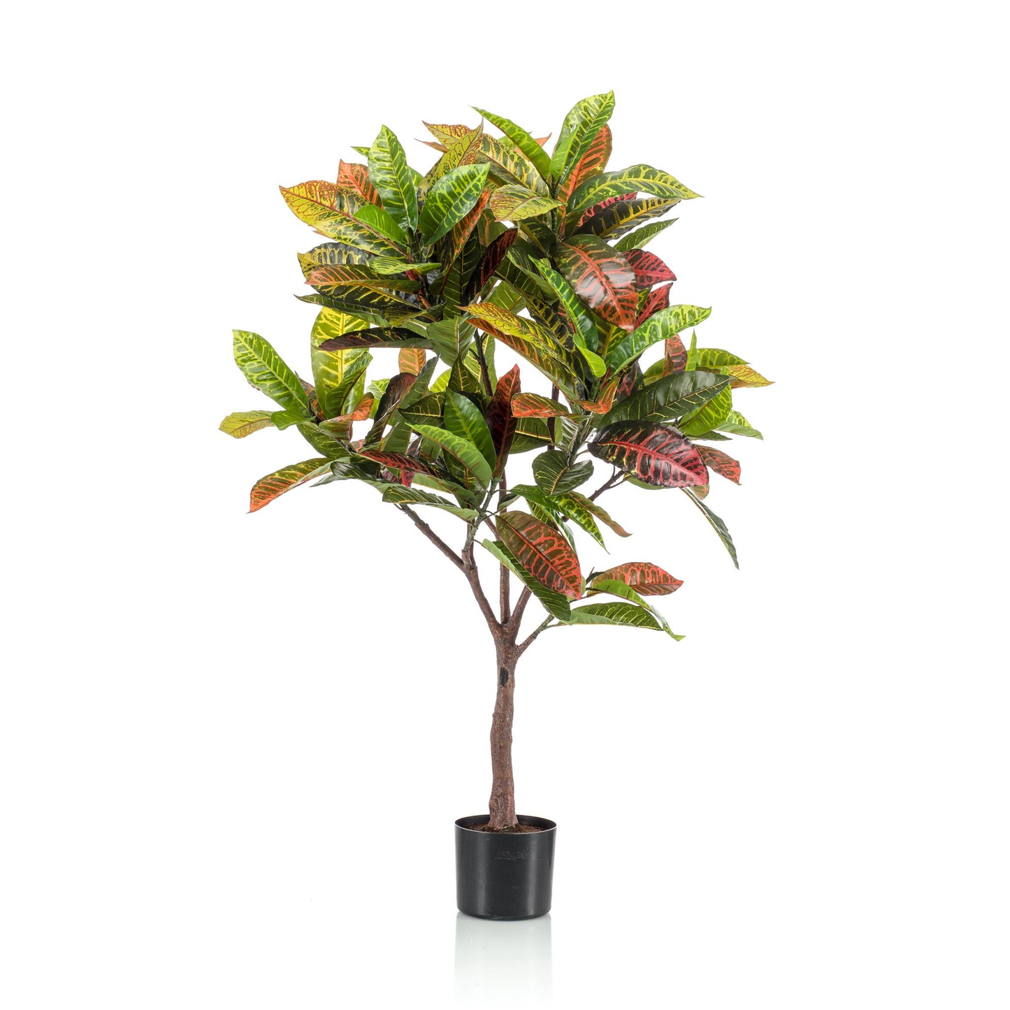 Croton Codiaeum - Wonderstruik | Kunstplant