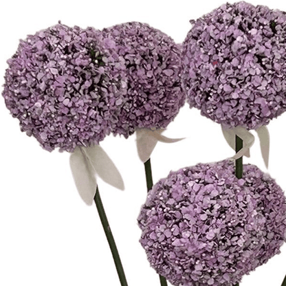 Allium Flower Paars x7 | Kunstbloemen 2 - LushLeaf | Online planten bestellen
